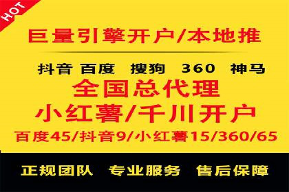 谷歌竞价广告与SEO结合的营销案例解析